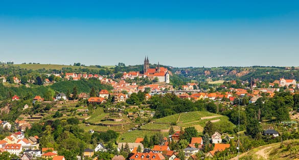 View of Meissen, saxony, with vine yard in summer