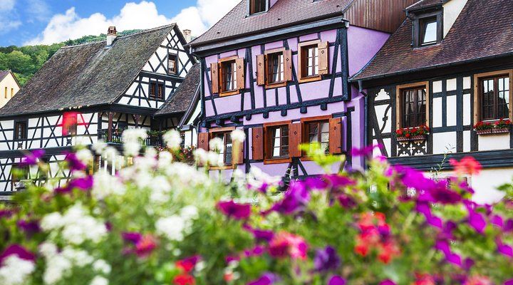 Alsace villages half day tour from Colmar