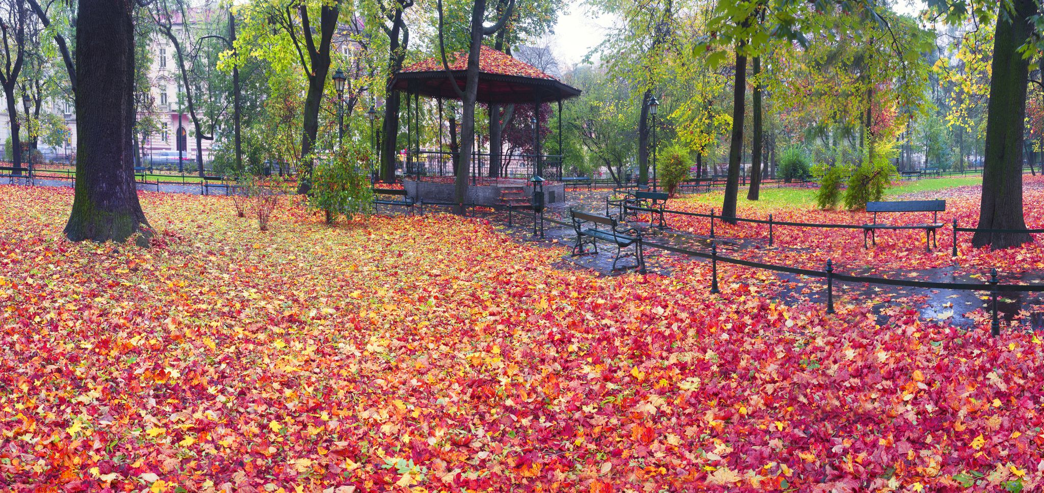 Walk on a rainy evening in an old picturesque colorful park near the Market Square of the famous city of Krakow Eastern Europe among old trees amidst rest and cold