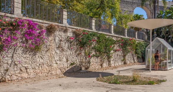 Young visitor woman observes a glass green house at Botanical Garden of the University of Coimbra, Portugal