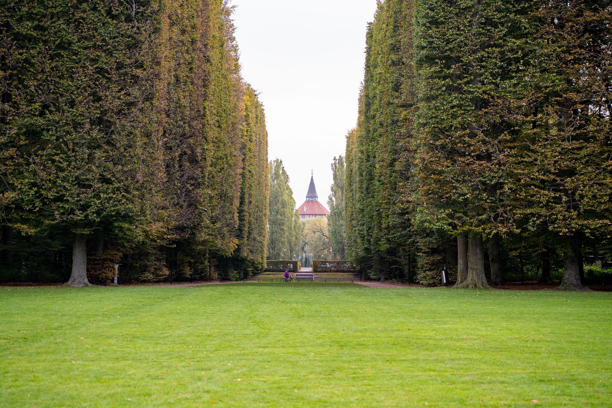 Park in the city during autumn with big trees