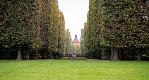 Park in the city during autumn with big trees