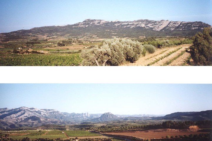 Visit winery and wine tasting