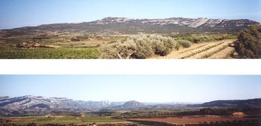 Visit winery and wine tasting