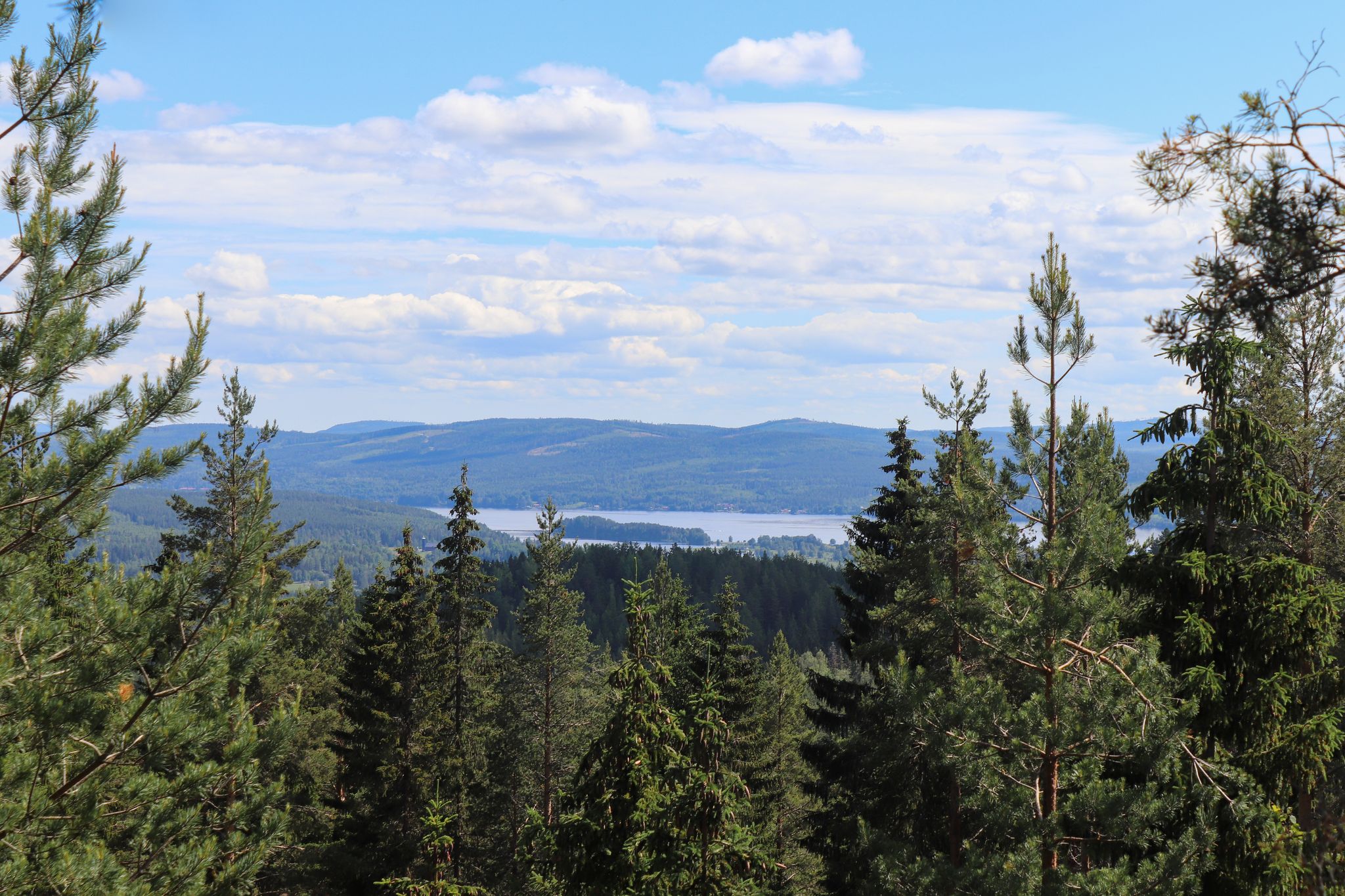 photo of Swedish summer landscape, view above the trees from Järvzoo, Sweden.