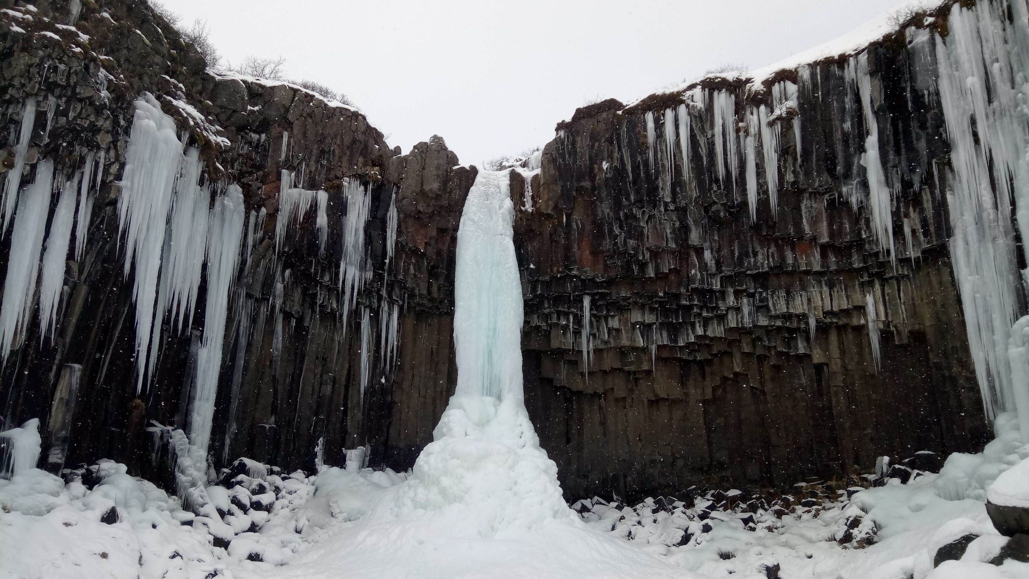  photo of completely frozen svartifoss waterfall. Iceland.