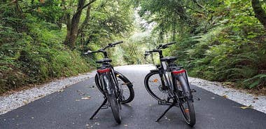 Self Guided Bike Tour on the Tralee to Fenit Greenway