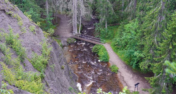 photo of the surroundings in the forest near the Styggforsen waterfall in Dalarna, Sweden.
