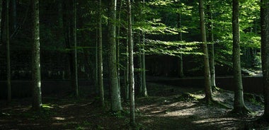 Eagle's Nest-Berchtesgaden-Obersalzberg Private Half Day WWII Historical Tour