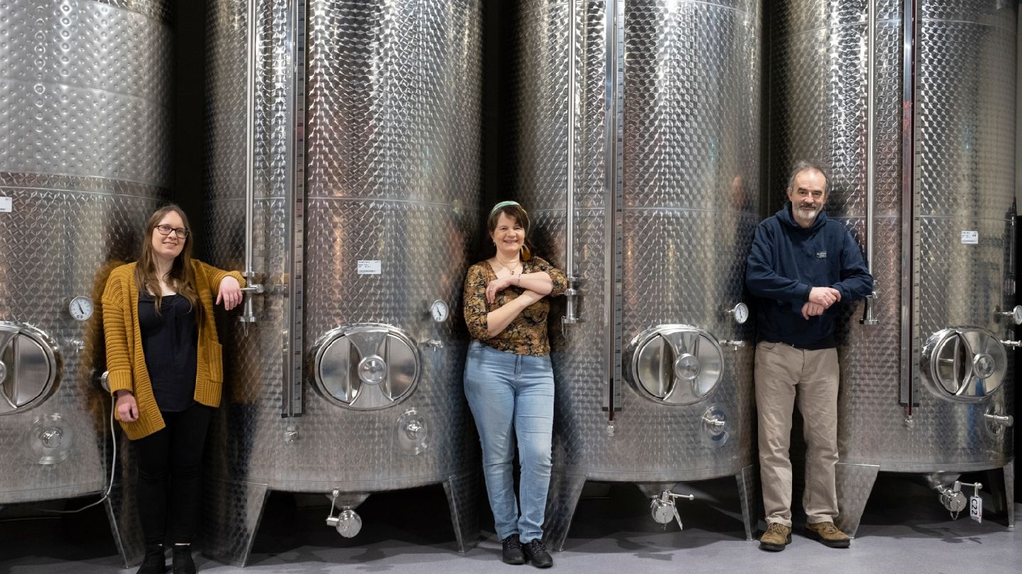 Kinsale Mead Co., Troopers-close, Kinsale Urban, The Municipal District of Bandon – Kinsale, County Cork, Munster, Ireland