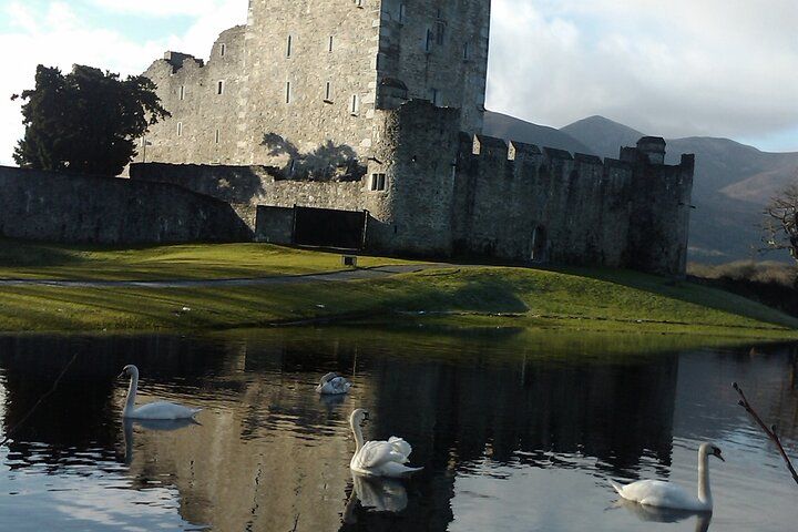 Guided Killarney National Park Walking Tour