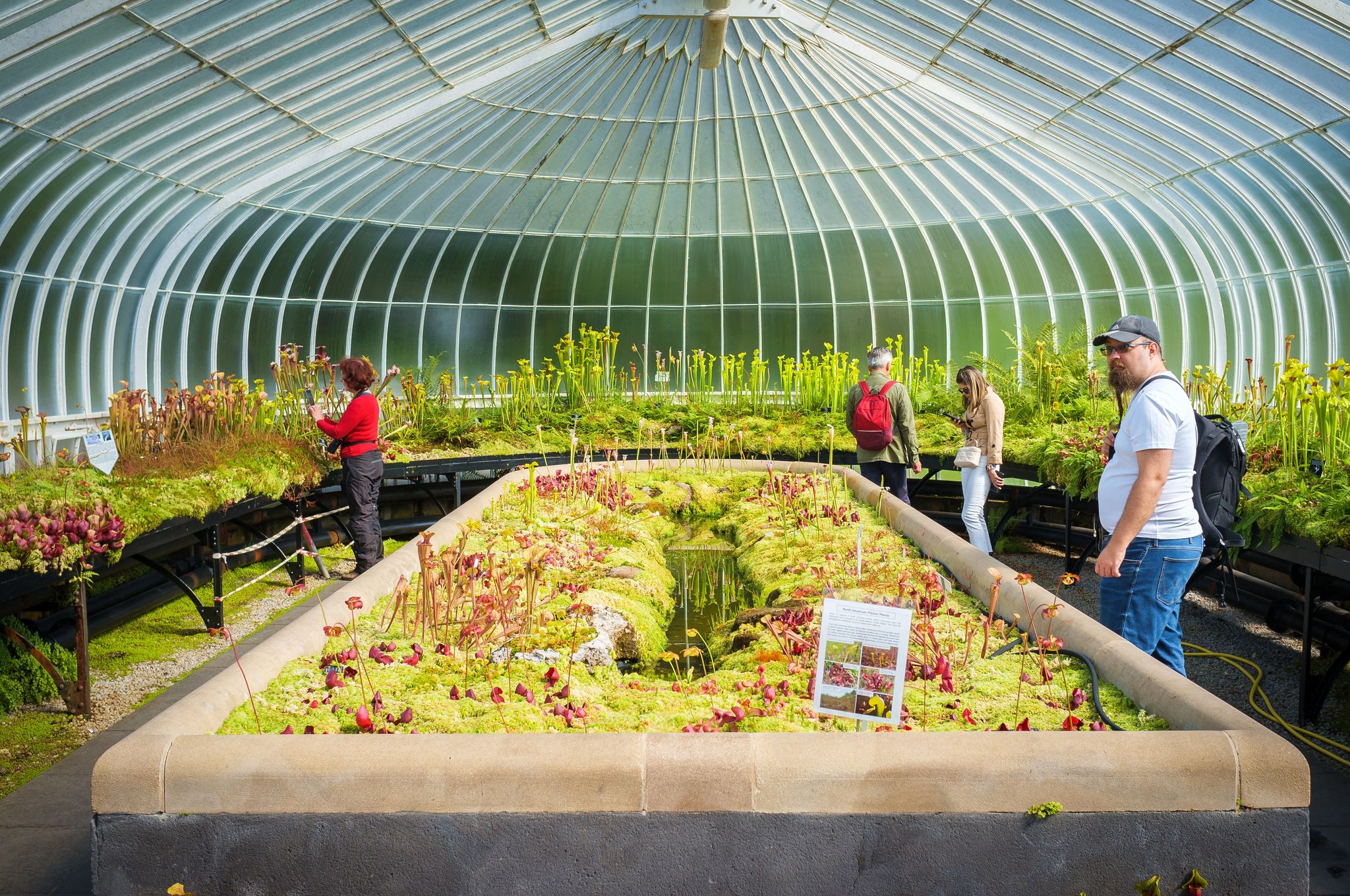 People looking at carnivorous plants in Kibble Palace, Glasgow Botanical Gardens in the United Kingdom.