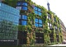 Musée du quai Branly travel guide