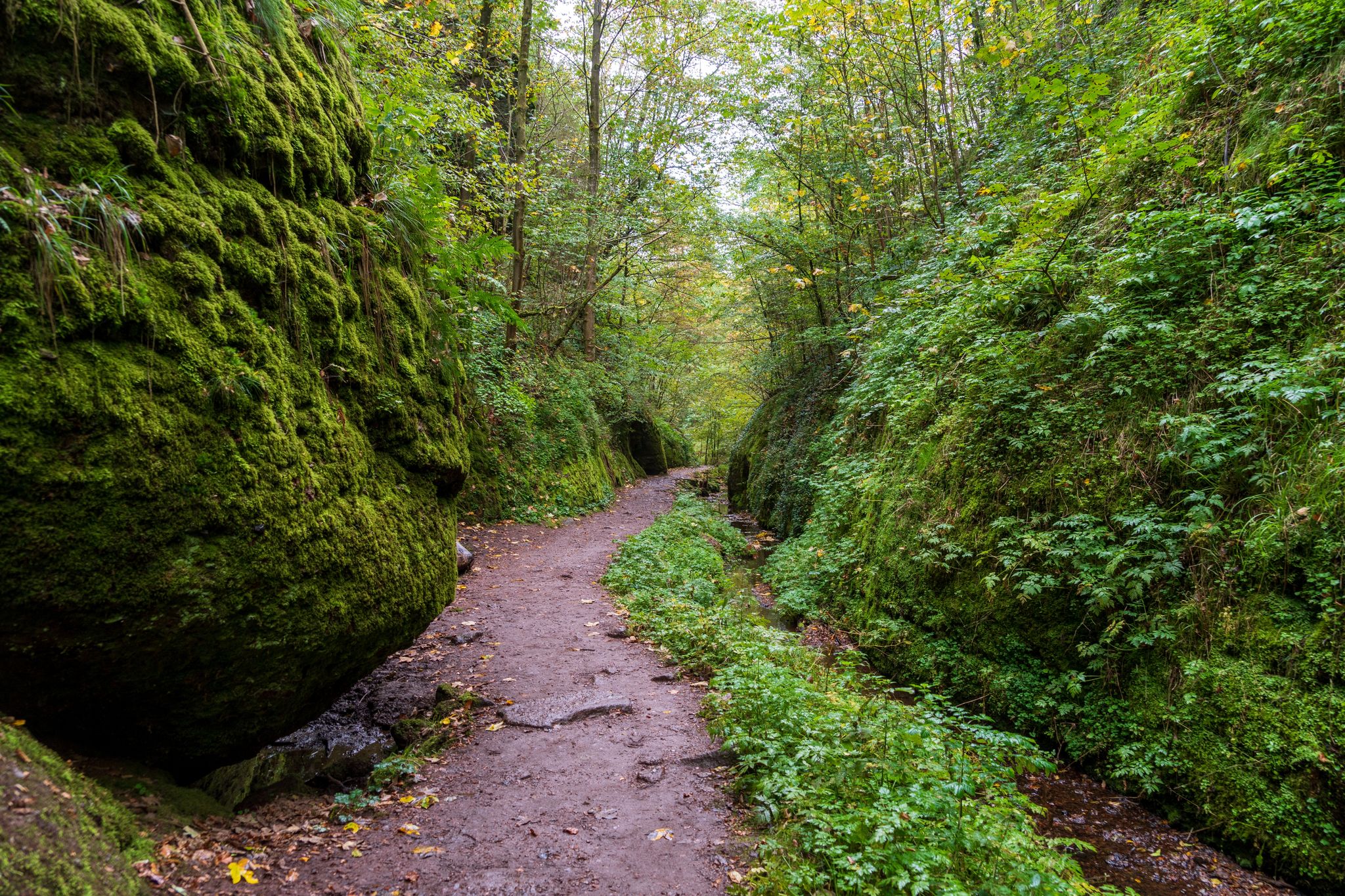 photo of view of The Dragon Gorge, Hiking area in Eisenach, Thuringia, Germany.