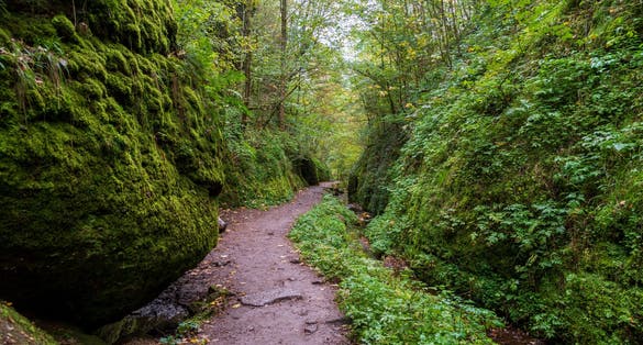 photo of view of The Dragon Gorge, Hiking area in Eisenach, Thuringia, Germany.