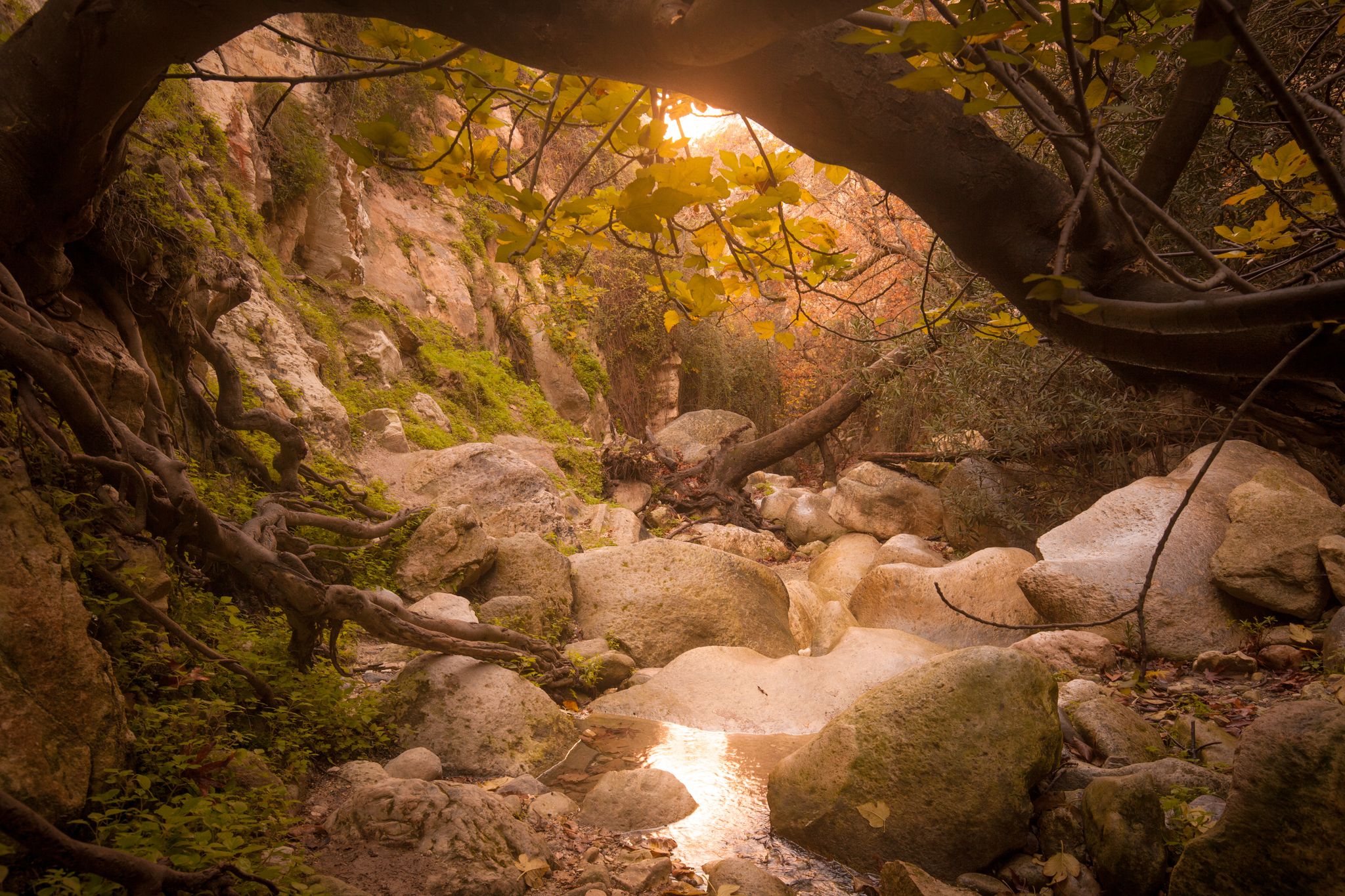 Photo of amazing Avakas gorge, nature landscape, Cyprus.
