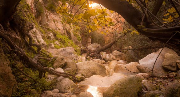 Photo of amazing Avakas gorge, nature landscape, Cyprus.