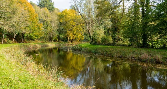 Photo of autumn colors along the canal from Nantes to Brest, France.