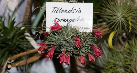 photo of view of Blumengärten Hirschstetten,Vienna Austria. 