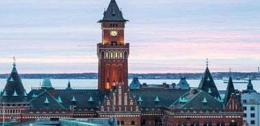 Best of Helsingborg: Private Walking Tour with a Local