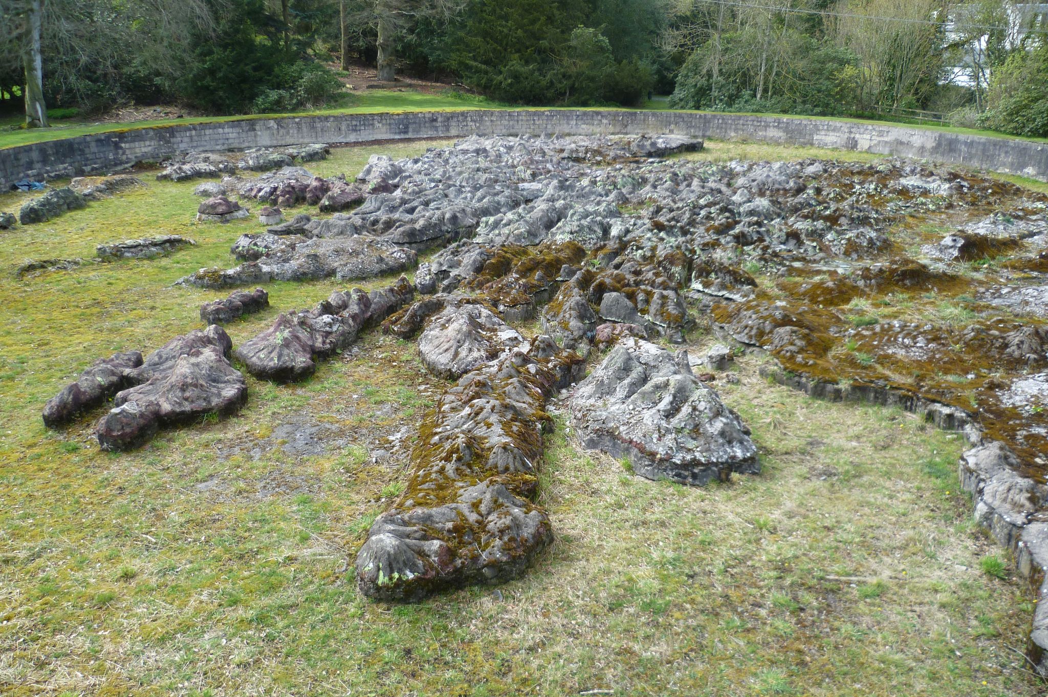 Great Polish Map of Scotland
