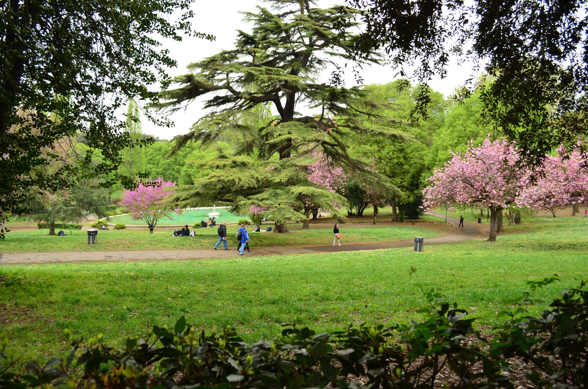 photo of Gardens of Villa Borghese in Rome - Italy .