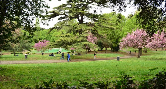 photo of Gardens of Villa Borghese in Rome - Italy .