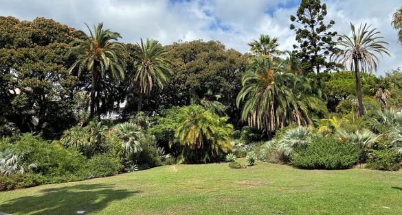 Park of Villa Ormond, Sanremo, Italy