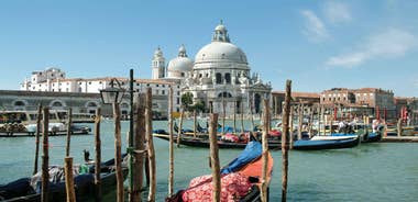 From Porec: Venice Catamaran Crossing One-Way or Round-Trip