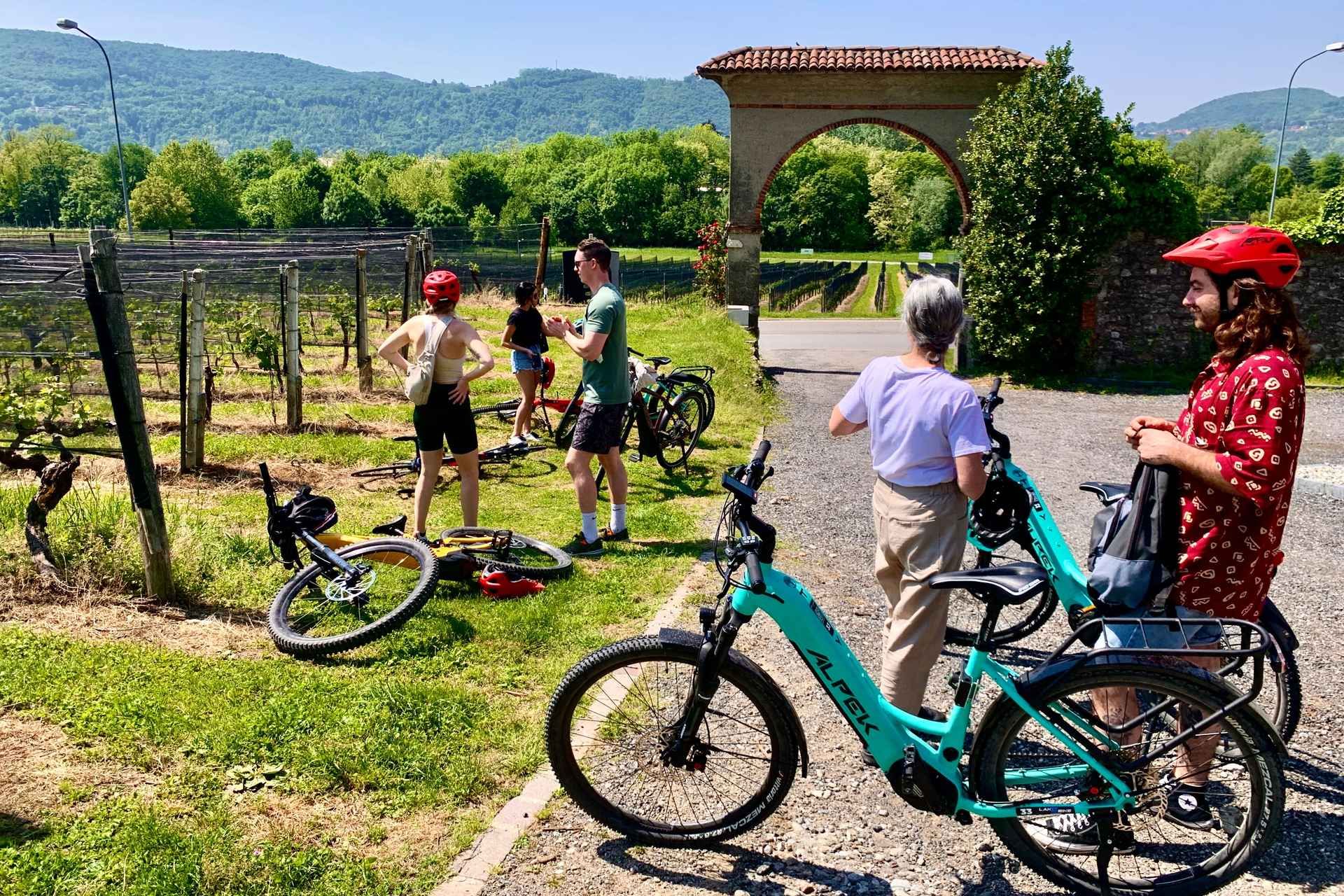 Como: Lake Como and Swiss Vineyards Ebike Tour