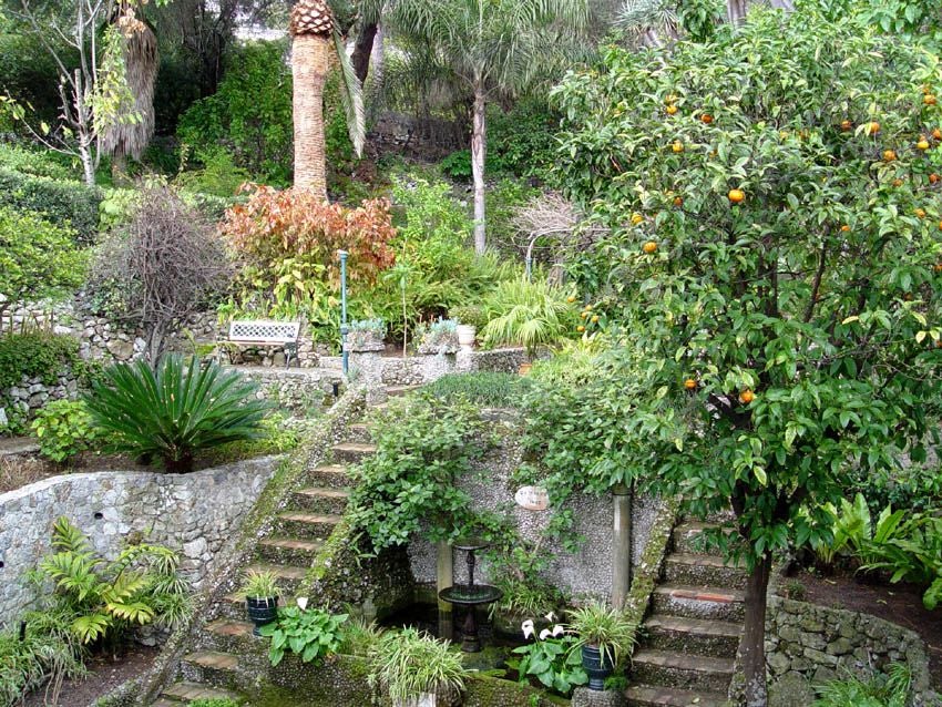 Gibraltar Botanic Gardens