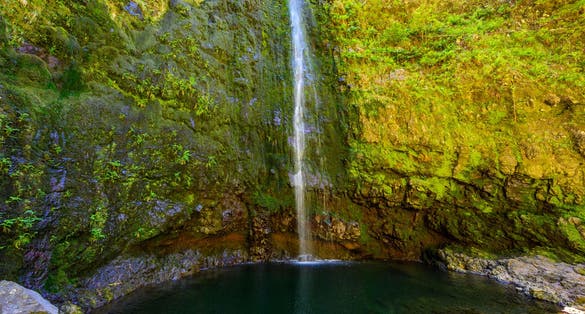 Levada do Caldeirão - hiking path in the forest in Levada do Caldeirao Verde Trail - tropical scenery on Madeira island, Santana, Portugal.