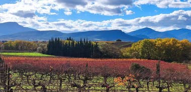 Nemea Premium One Day Wine Gathering