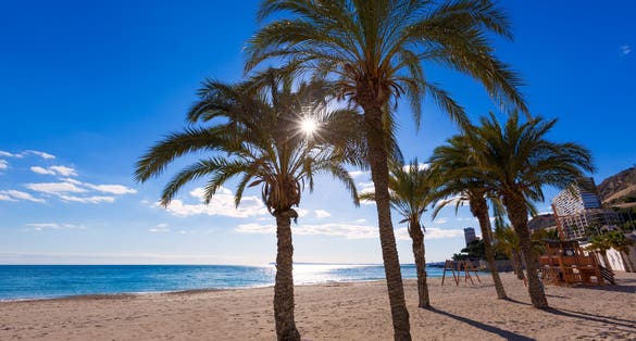 Photo of Alicante San Juan beach of La Albufereta with palms trees in Mediterranean Spain.