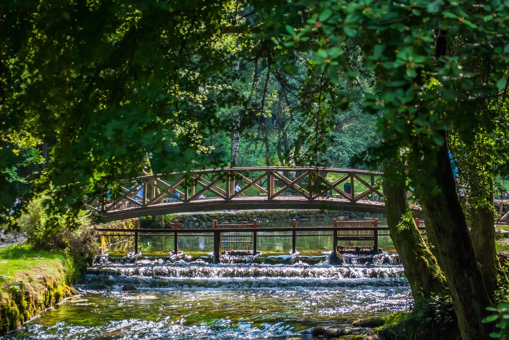 Photo of beginning river of Bosna at Nature park Vrelo Bosne, Bosnia and Herzegovina.