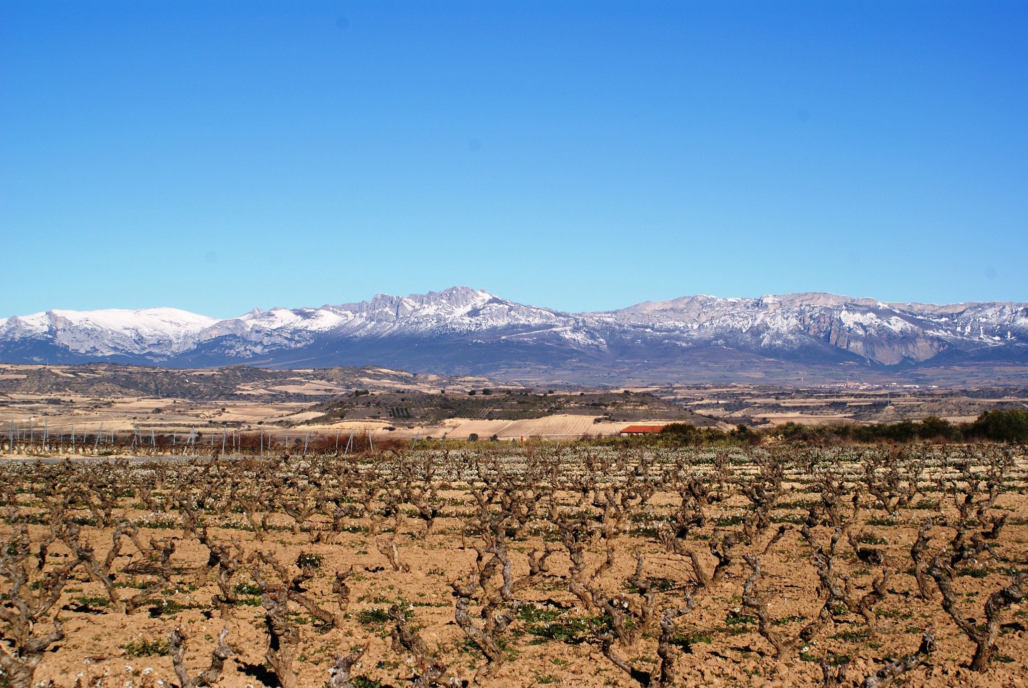 La rioja, Logroño in Spain 