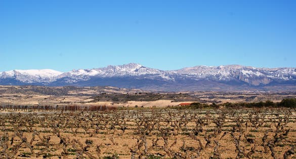 La rioja, Logroño in Spain 