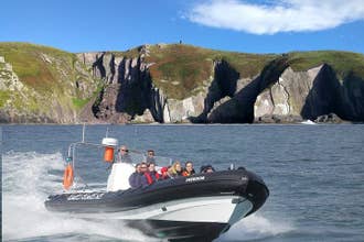 Blasket Seal Experience 1 1/2 hour Shared