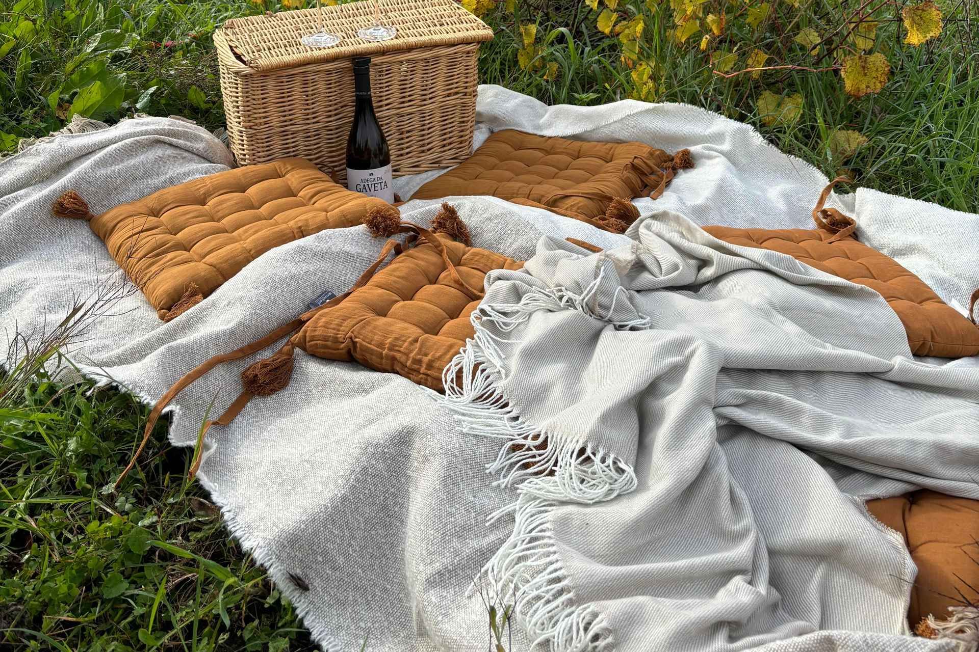 Tomar: Wine Picnic for Two