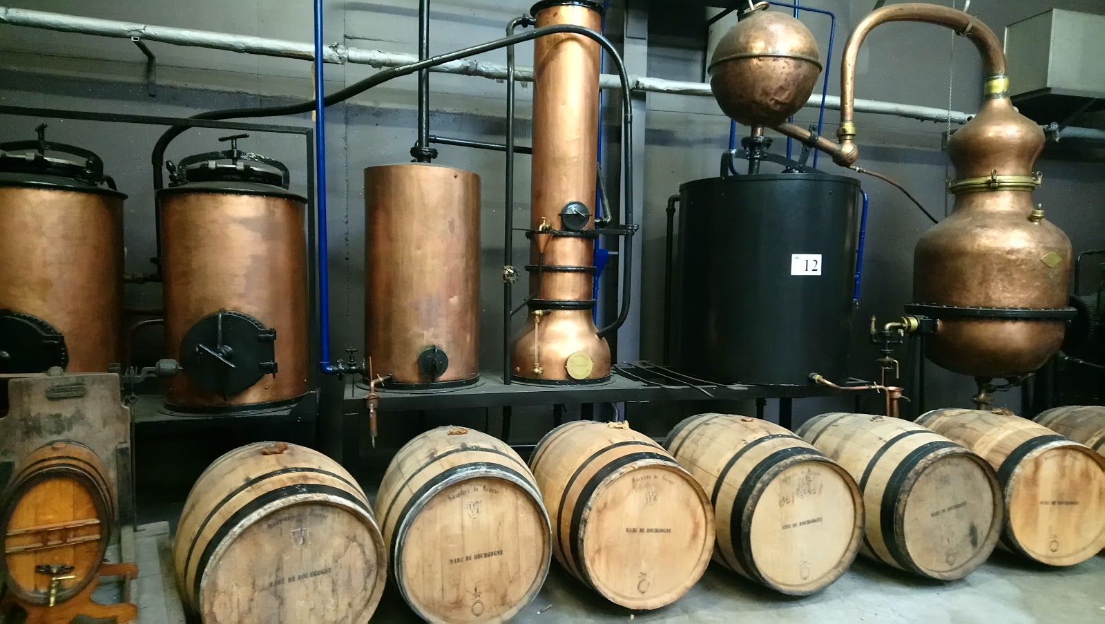 Le Cassissium, Nuits-Saint-Georges, Beaune, Côte-d'Or, Bourgogne-Franche-Comté, Metropolitan France, France