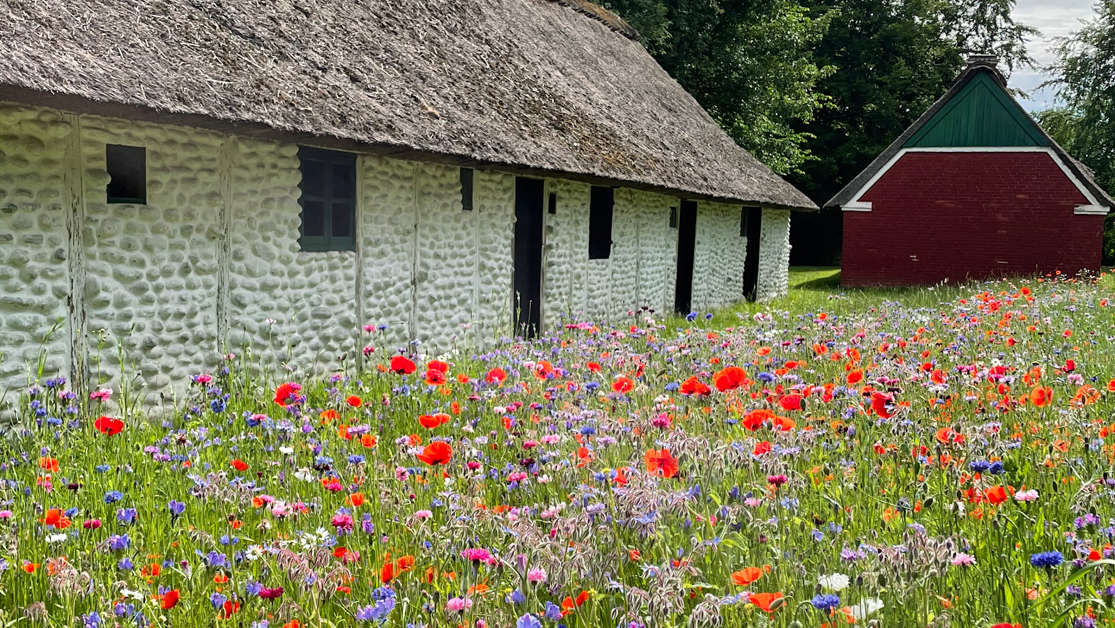 The Open Air Museum, Lyngby-Taarbæk Municipality, Capital Region of Denmark, Denmark