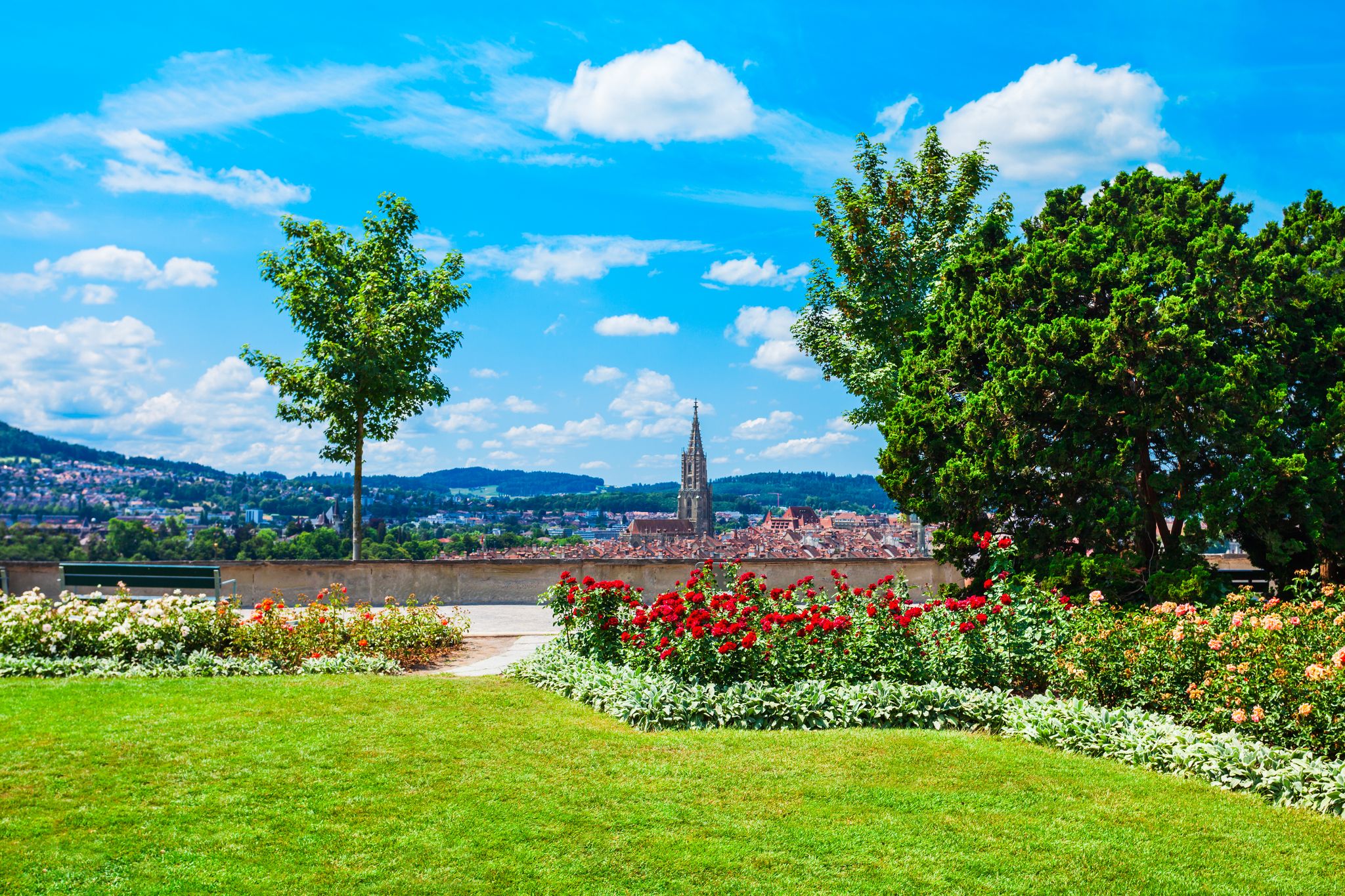 photo of a beautiful sky with green trees and beautiful roses in Rose Garden Bern in Switzerland.