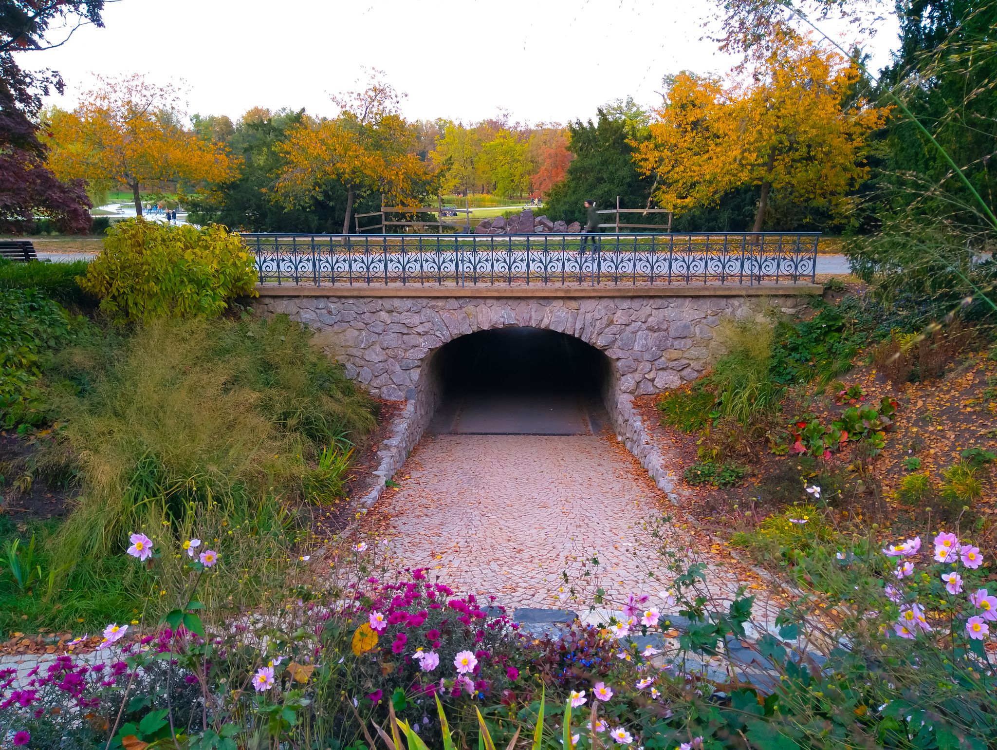Photo of tunnel under the bridge in the park Stromovka in autumn Prague.