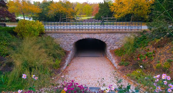 Photo of tunnel under the bridge in the park Stromovka in autumn Prague.