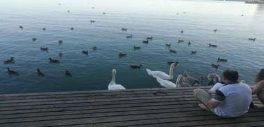 Budapest: Lake Balaton & Herend Porcelain Private Day Tour