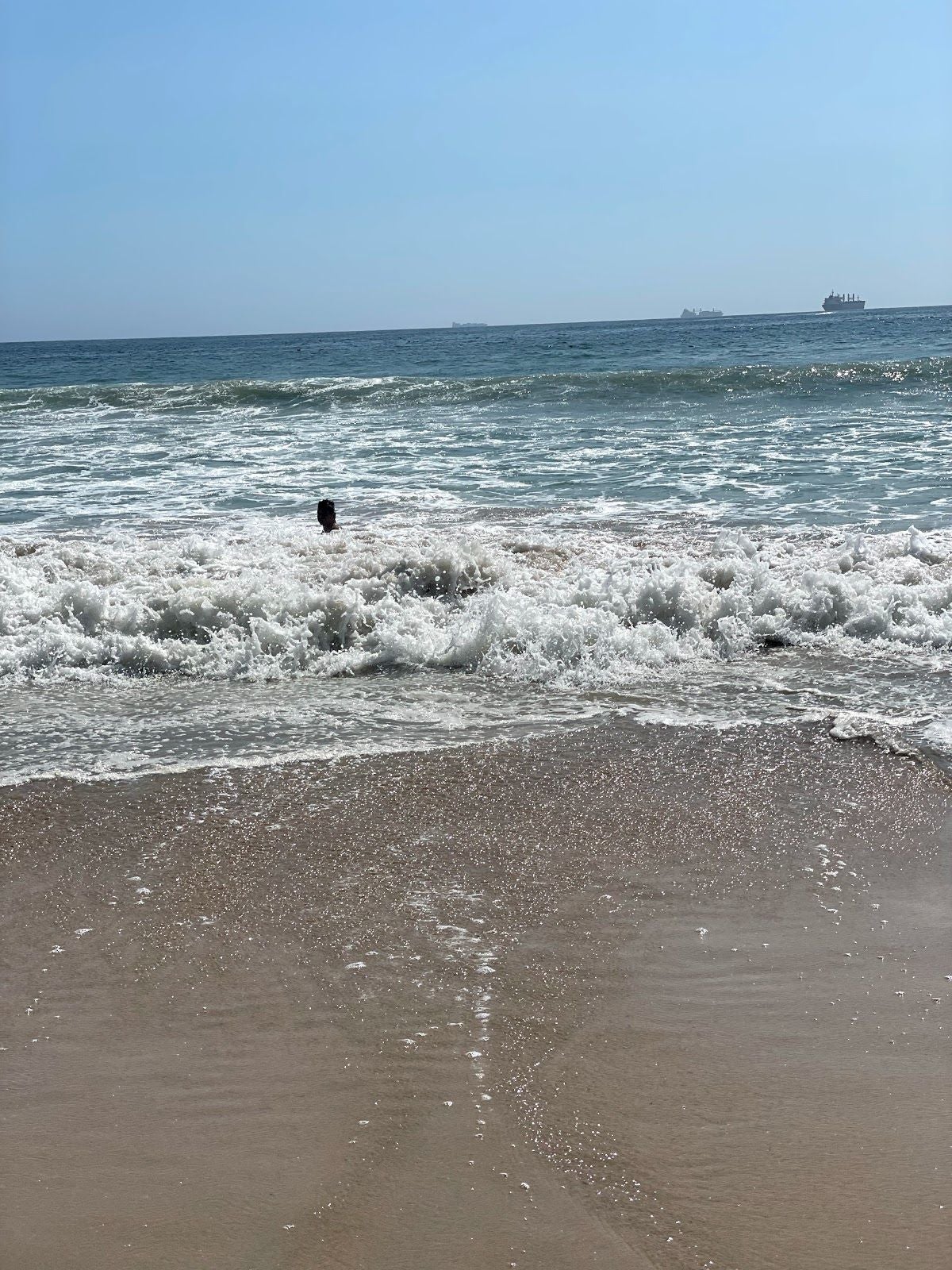 Praia de Matosinhos, Matosinhos, Matosinhos e Leça da Palmeira, Porto, Área Metropolitana do Porto, North, Portugal