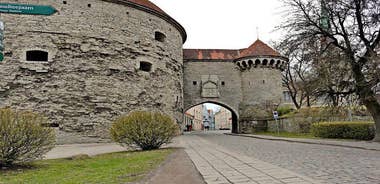  Private Tour: All-Highlights of Tallinn
