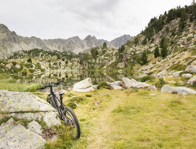 shutterstock_1631564446 (1).jpg