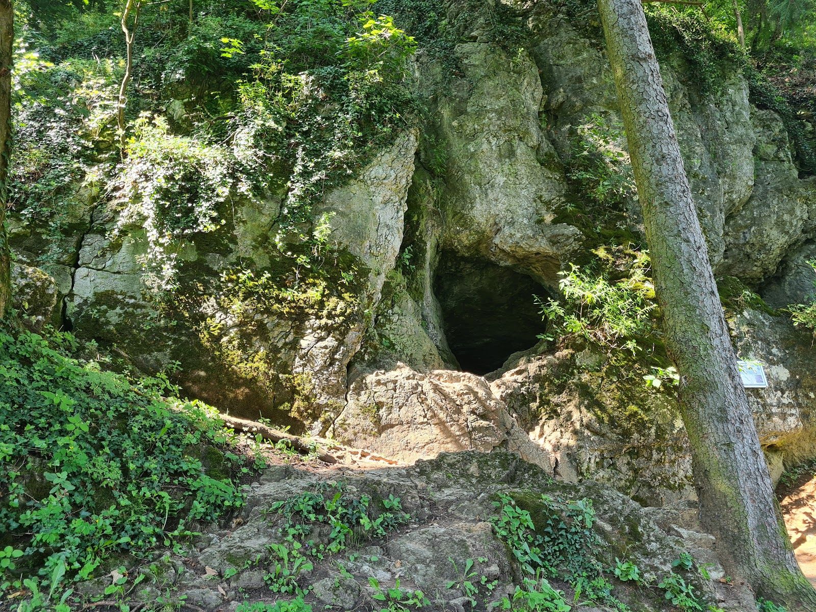 Opatovská jaskyňa (Jaskyňa nad cestou), Opatová, Trenčín, District of Trenčín, Region of Trenčín, Western Slovakia, Slovakia