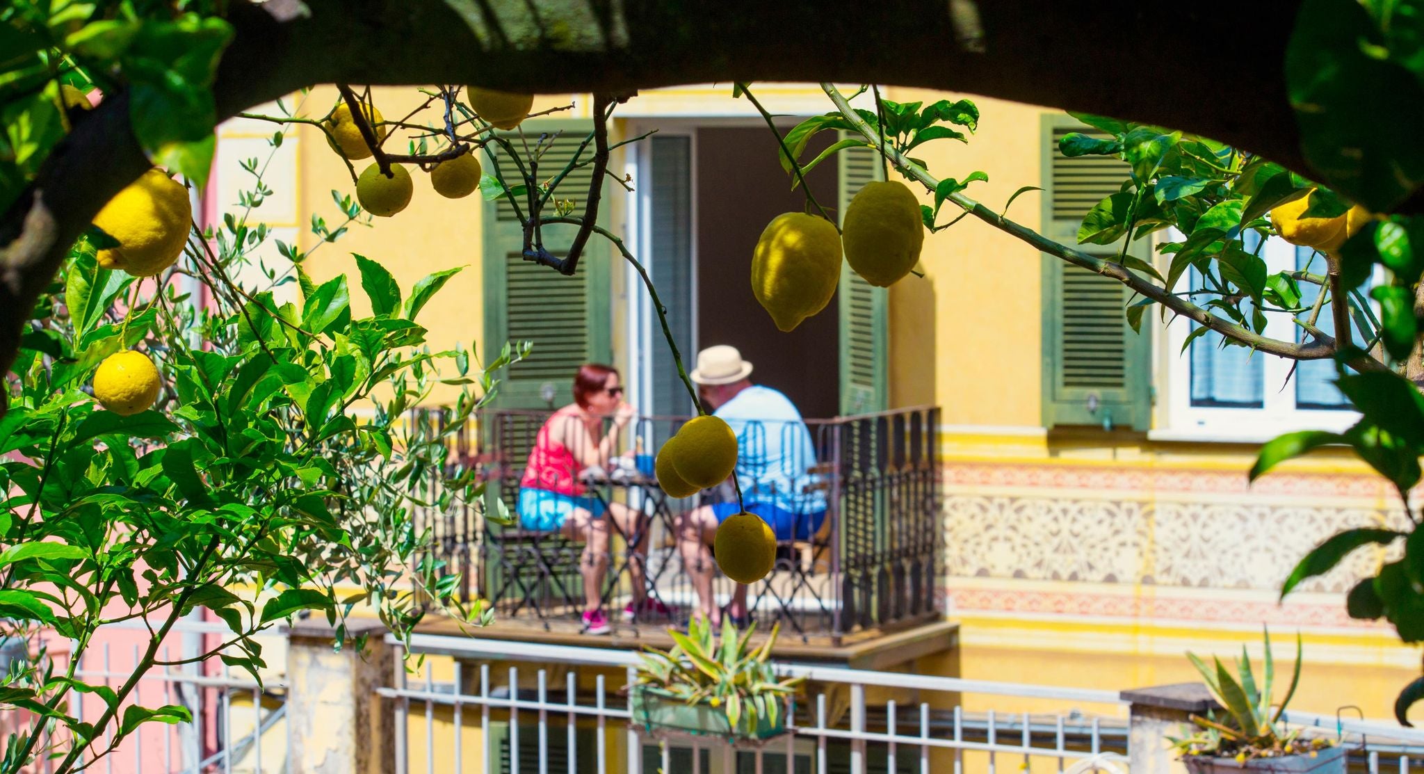 Couple enjoying a summer drink on a balcony framed by lemon trees in southern Italy in June..jpg